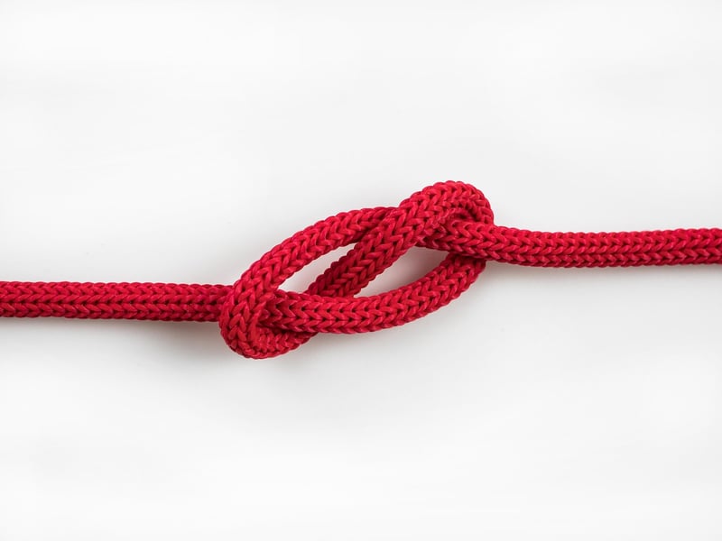 Causal Loops