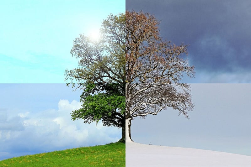 Seasons